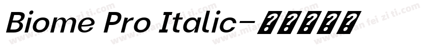 Biome Pro Italic字体转换